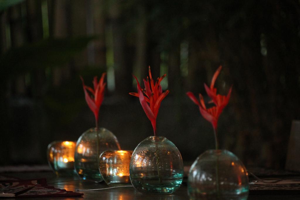 Kayu Bali Hotel Canggu  Exterior photo